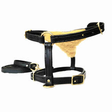 Load image into Gallery viewer, The Abraham - Dog Harness | Sheepskin | Leather Dog Collar
