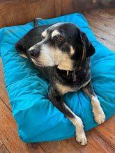 Load image into Gallery viewer, Extra Large Dog Bed | Cotton Canvas