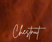 Load image into Gallery viewer, The Emi Leash - Stitched Leather Dog Leash