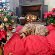 Load image into Gallery viewer, FSH Coda lying on our red cotton canvas dog bed for Christmas.