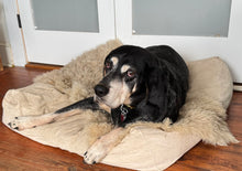 Load image into Gallery viewer, Feather Dog Bed in Cotton Canvas
