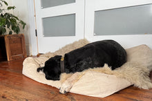 Load image into Gallery viewer, Feather Dog Bed in Cotton Canvas