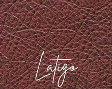 Load image into Gallery viewer, The Emi Leash - Stitched Leather Dog Leash