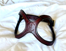 Load image into Gallery viewer, The Coda - Small Dog/Puppy Harness | Leather Dog Collar