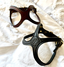 Load image into Gallery viewer, The Coda - Small Dog/Puppy Harness | Leather Dog Collar
