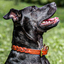 Load image into Gallery viewer, The Bianca - Braided Leather Dog Collar