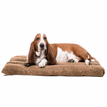 Load image into Gallery viewer, Bloodhound dog on a brown dog crate mat on a white background.