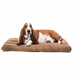 Bloodhound dog on a brown dog crate mat on a white background.