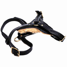 Load image into Gallery viewer, y-front leather dog harness on a white background