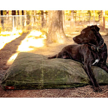 Load image into Gallery viewer, Black Labrador on a green waxed canvas large dog bed outside in a park