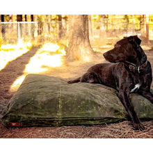 Load image into Gallery viewer, Black Labrador on a green waxed canvas large dog bed outside in a park
