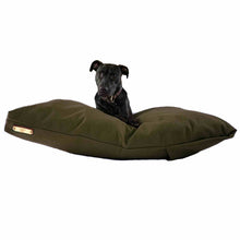 Load image into Gallery viewer, Black Labrador on a green large dog bed on a white background.