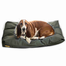 Load image into Gallery viewer, Bloodhound dog on a green medium dog bed on a white background.