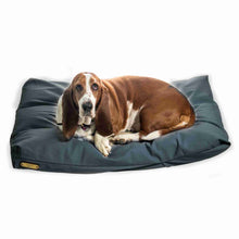 Load image into Gallery viewer, Bloodhound dog on a grey medium dog bed on a white background.
