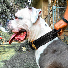 Load image into Gallery viewer, American bulldog wearing a fireside hound tactical leather dog collar being held by a hand outside