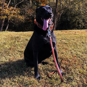 Leather Dog Leash