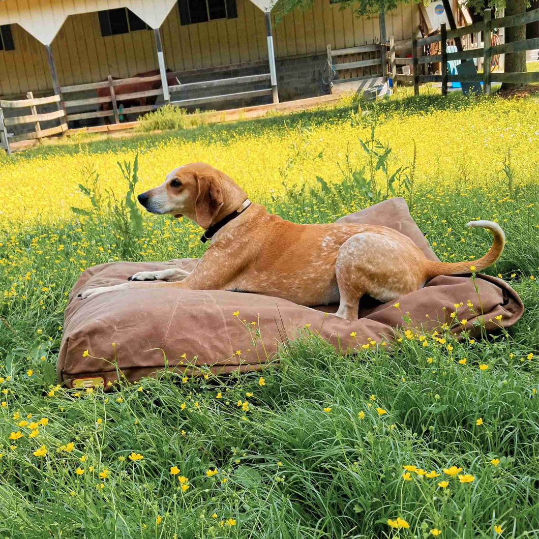 Medium Dog Bed | Waxed Canvas