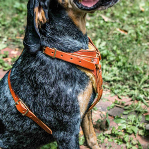 Dog Harness | Sheepskin | Leather Dog Collar