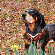 Load image into Gallery viewer, Dog Harness | Sheepskin | Leather Dog Collar
