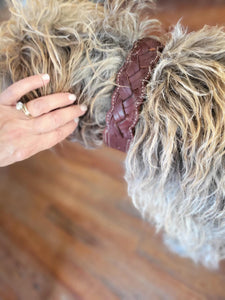 The Hamilton - Braided and Stitched Dog Collar