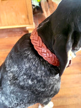 Load image into Gallery viewer, The Hamilton - Braided and Stitched Dog Collar
