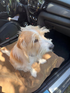 Car Seat Cover for Front seat