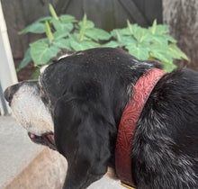 Load image into Gallery viewer, The Millicent - Elegantly Etched Collar
