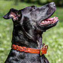 Load image into Gallery viewer, Braided Leather Dog Collar
