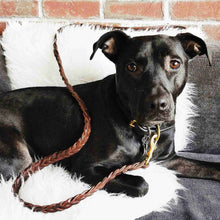 Load image into Gallery viewer, Braided Leather Dog Leash
