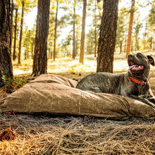 Load image into Gallery viewer, Cane Corso dog on a brown large dog bed outside
