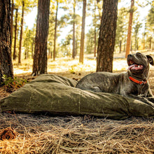 Load image into Gallery viewer, Cane Corso dog on a green large dog bed outside
