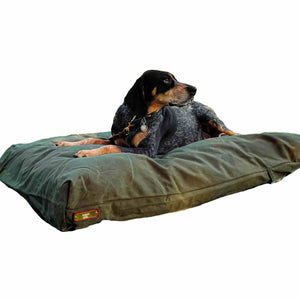 Bluetick Hound on a green fireside hound waxed canvas medium dog bed on a white background