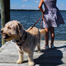 Load image into Gallery viewer, Golden doodle standing on a pier with a fireside hound with a girl holding a stitched leather dog leash
