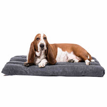 Load image into Gallery viewer, Bloodhound dog on a grey dog crate bed on a white background.
