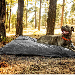 Cane Corso dog on a grey large dog bed outside