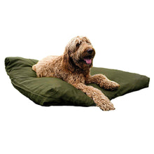 Load image into Gallery viewer, Golden doodle dog on a green extra large dog bed on a white background
