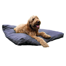 Load image into Gallery viewer, Golden doodle dog on a grey extra large dog bed on a white background
