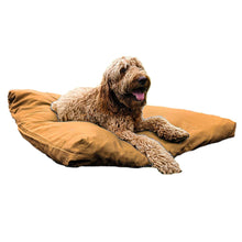Load image into Gallery viewer, Golden doodle dog on a yellow extra large dog bed on a white background
