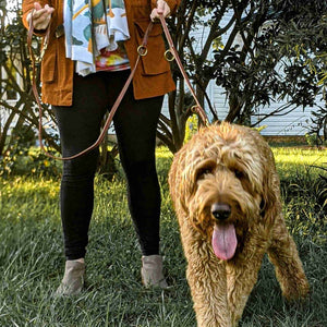 Hands-free leather dog leash from fireside hound