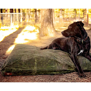 Black Labrador on a green waxed canvas large dog bed outside in a park