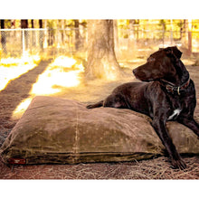 Load image into Gallery viewer, Black Labrador on a brown waxed canvas large dog bed outside in a park
