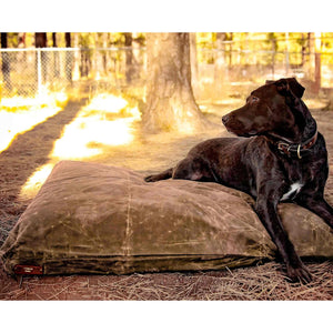 Black Labrador on a brown waxed canvas large dog bed outside in a park