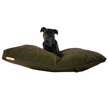 Load image into Gallery viewer, Black Labrador on a green large dog bed on a white background.
