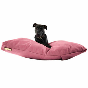 Black Labrador on a pink large dog bed on a white background.