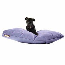 Load image into Gallery viewer, Black Labrador on a purple large dog bed on a white background.
