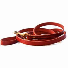 Load image into Gallery viewer, Fireside Hound leather dog leash on a white background
