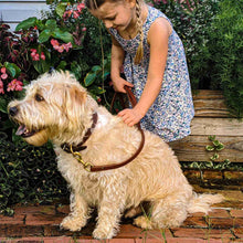 Load image into Gallery viewer, Little girl holding a dog with a fireside hound leather dog leash in front of a flower bed.
