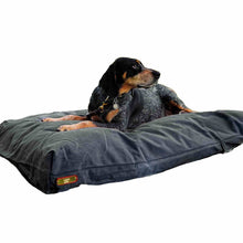 Load image into Gallery viewer, Bluetick Hound on a grey fireside hound waxed canvas medium dog bed on a white background
