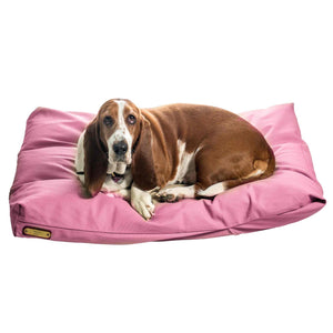 Bloodhound dog on a pink medium dog bed on a white background.