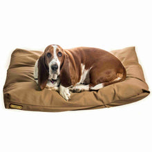 Load image into Gallery viewer, Bloodhound dog on a yellow medium dog bed on a white background.
